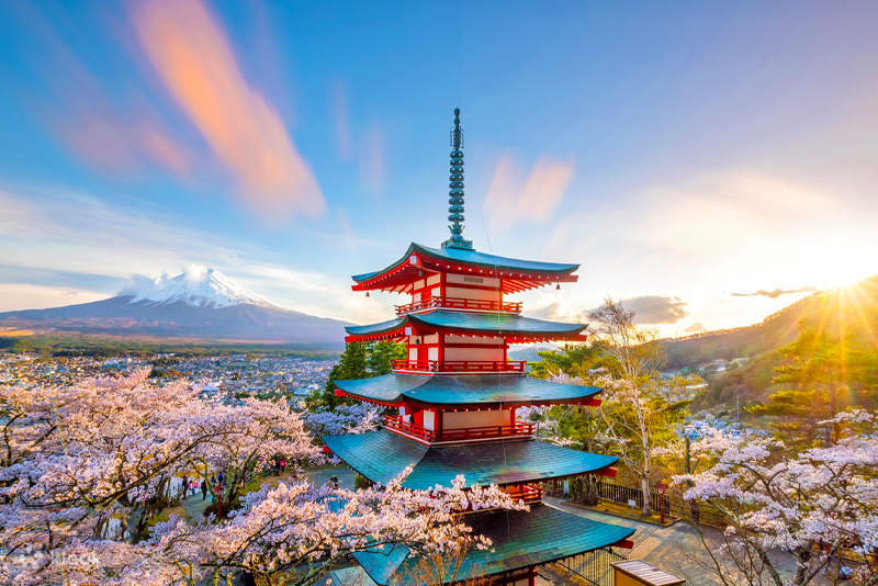 Mount Fuji Flower Viewing] Arakurayama Sengen Park & Hikawa